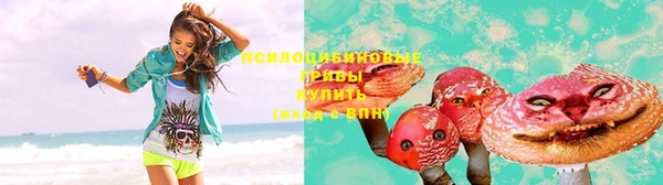 кокс Белокуриха