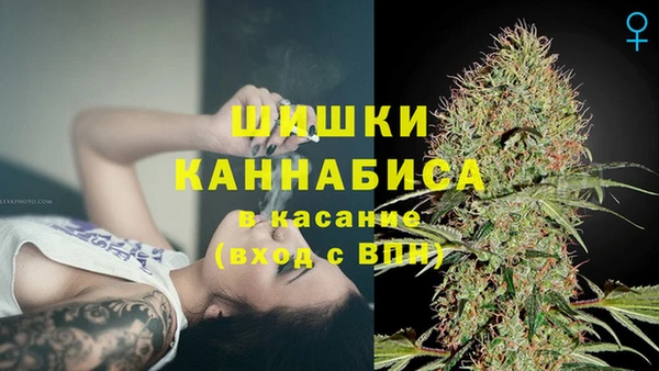 кокс Белокуриха