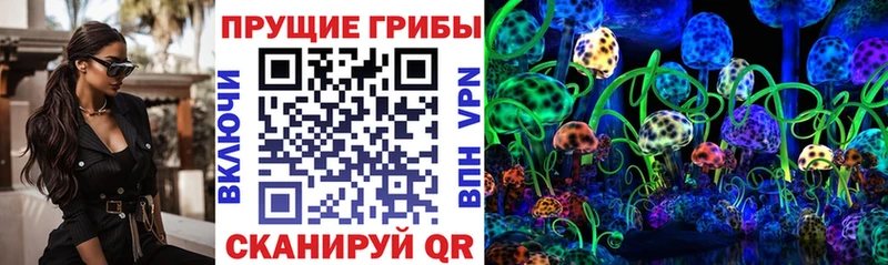 Галлюциногенные грибы MAGIC MUSHROOMS  Горячий Ключ 