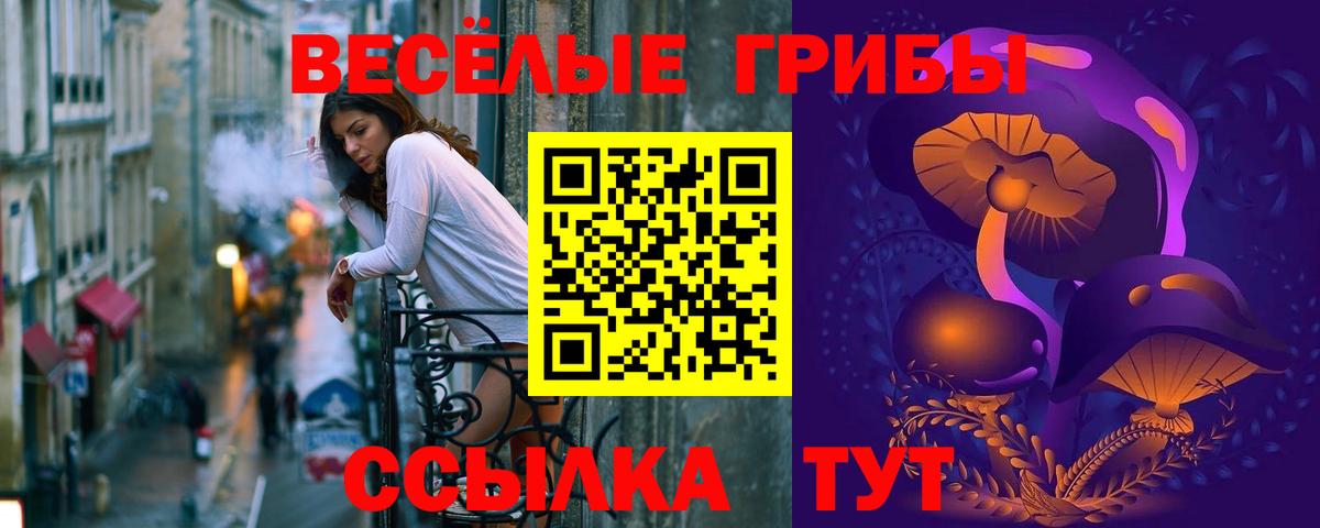 Псилоцибиновые грибы Psilocybine cubensis  где купить наркотик  Горячий Ключ  Вход с VPN 