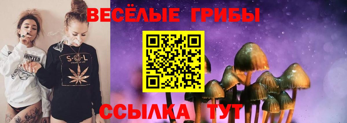 Мефедрон   A PVP СК кристаллы  Каннабис  Горячий Ключ  ГАШ  Вход с VPN 